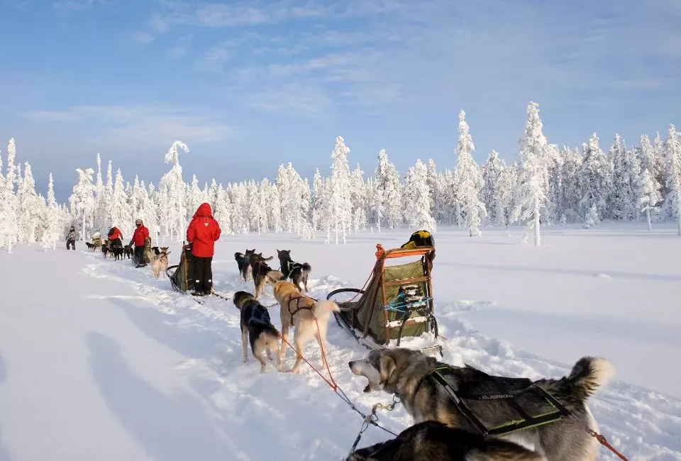 Voyage Laponie authentique au-dela du cercle polaire