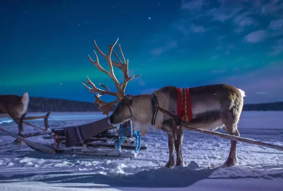 Voyage Nouvel an au Cercle Polaire à Harriniva en Laponie
